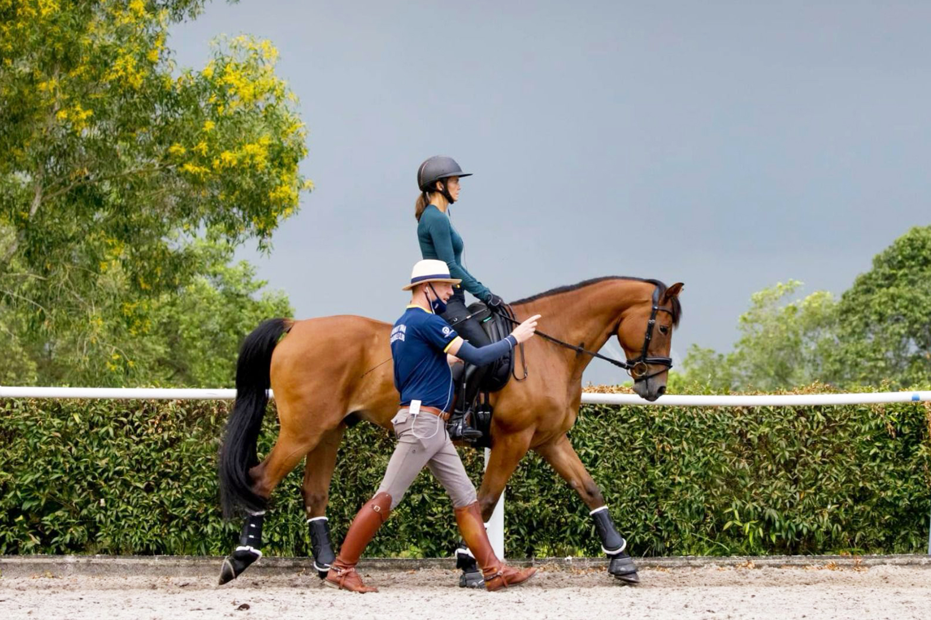 training and clinics