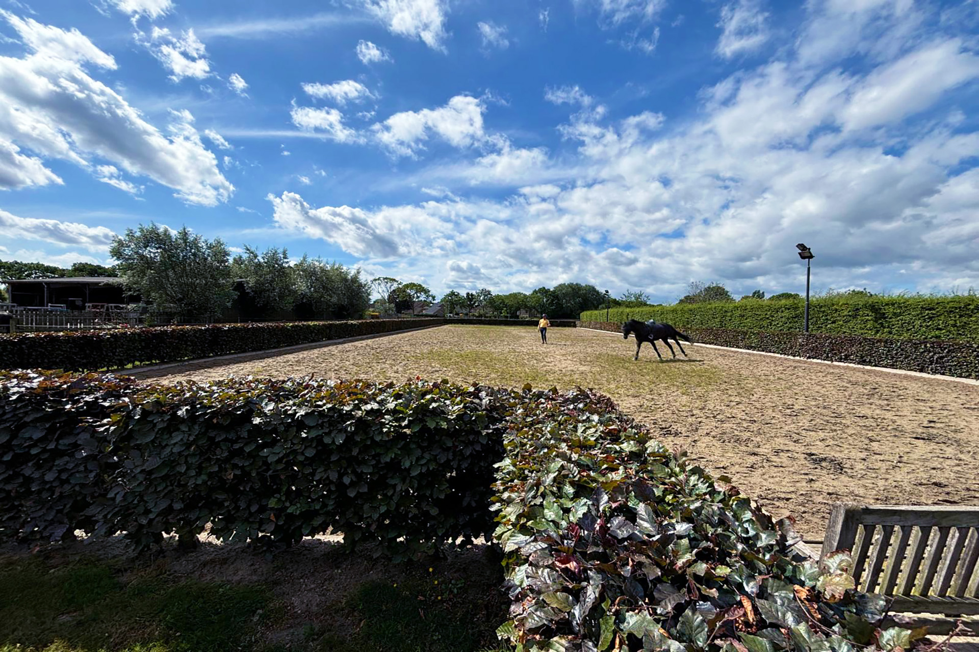 Jaap van den Heuij riding arena
